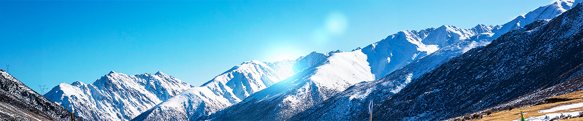 尊龙凯时人生就是搏·(中国区)官方网站